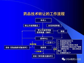 新版《药品技术转让注册管理规定》解读 聚焦技术服务的机遇与挑战