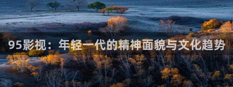 特工狂花蜜桃杀机电影免费观看完整版：95影视：年轻一代的精神面貌与文化趋势