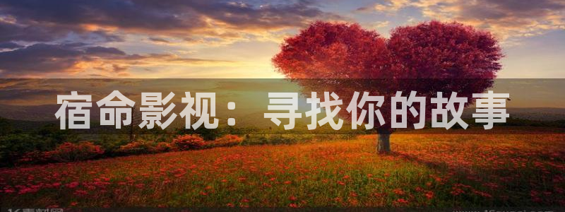 美国电影水蜜桃