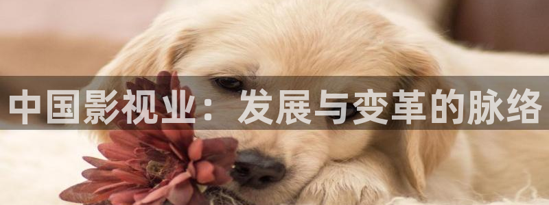 a一级一片蜜桃