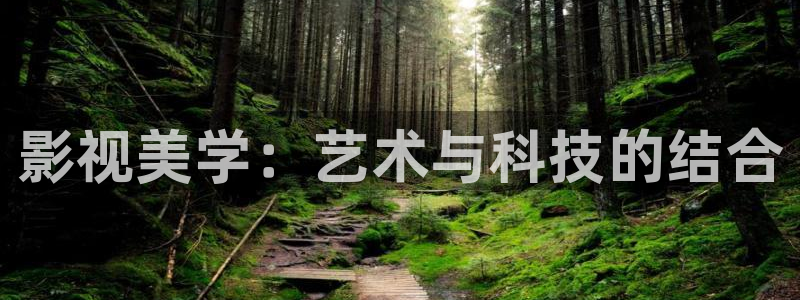 疯狂的小蜜桃：影视美学：艺术与科技的结合